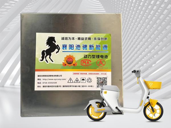 三元锂电池48V50AH