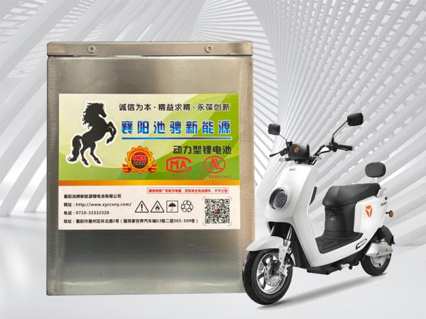 三元锂电池48V21AH